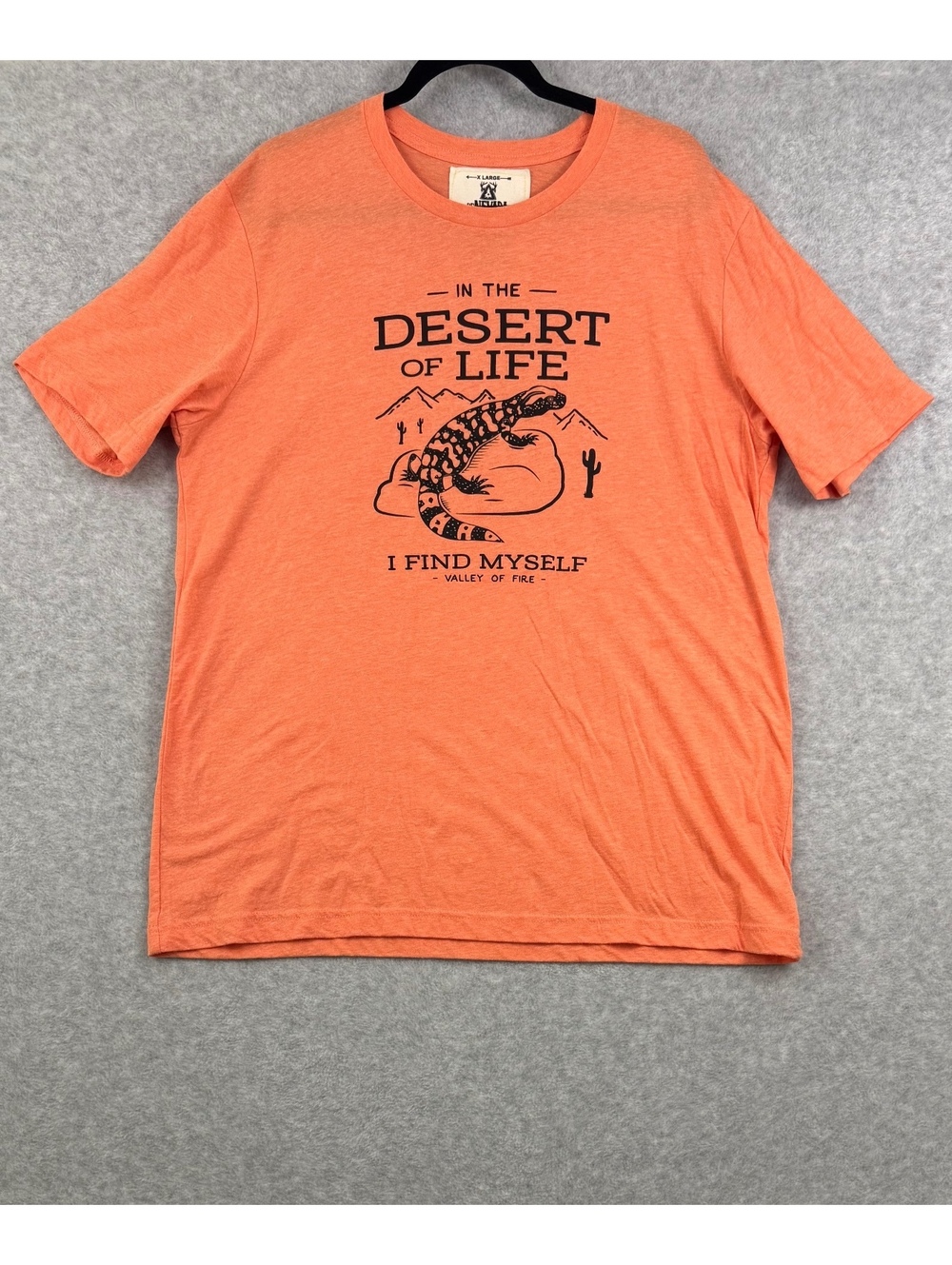 Be Nevada Valley of Fire Desert of Life Graphic T Shirt Orange Men’s XL